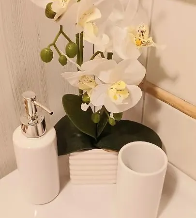 Sole E Luna Wi-fi Free *