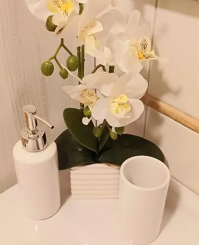 Sole E Luna Wi-fi Free *